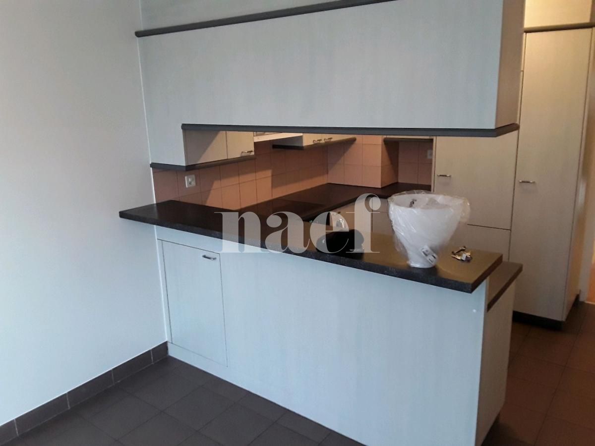 À louer : Appartement 3 Pieces Carouge GE - Ref : 211143.3002 | Naef Immobilier