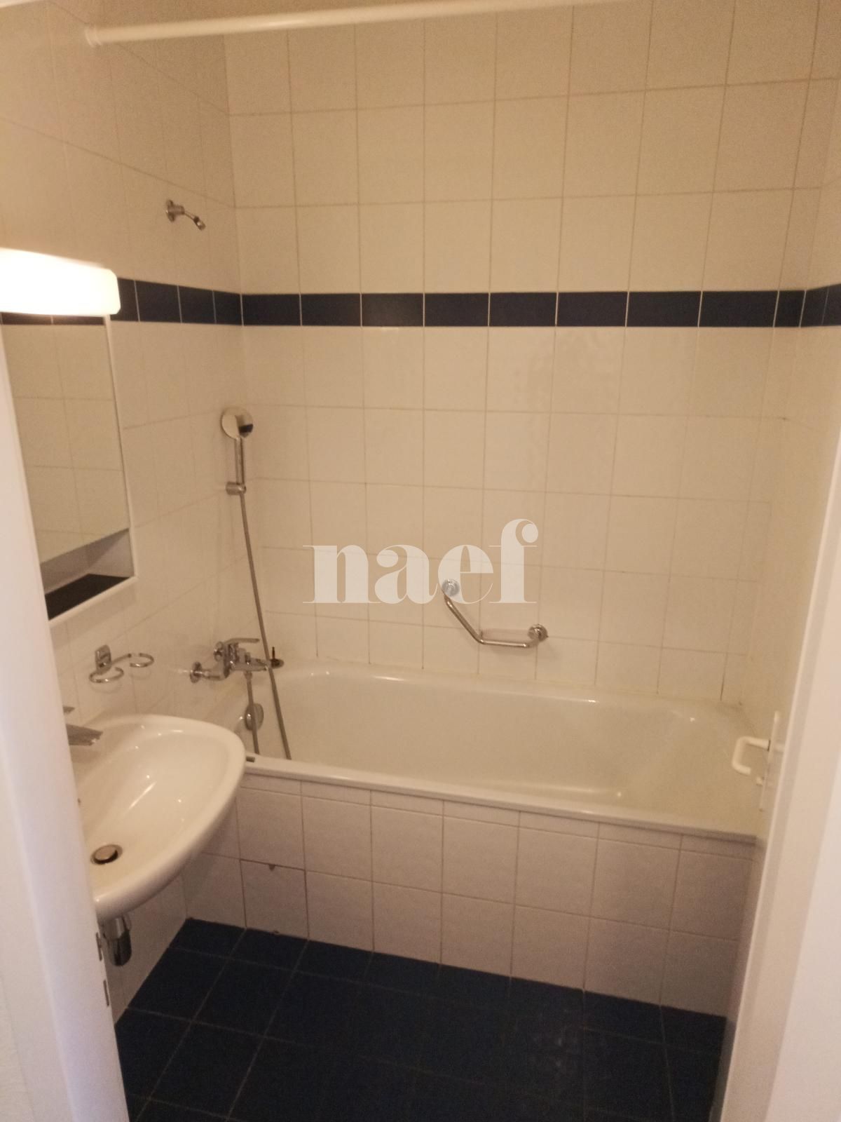 À louer : Appartement 3 Pieces Carouge GE - Ref : 211143.3002 | Naef Immobilier