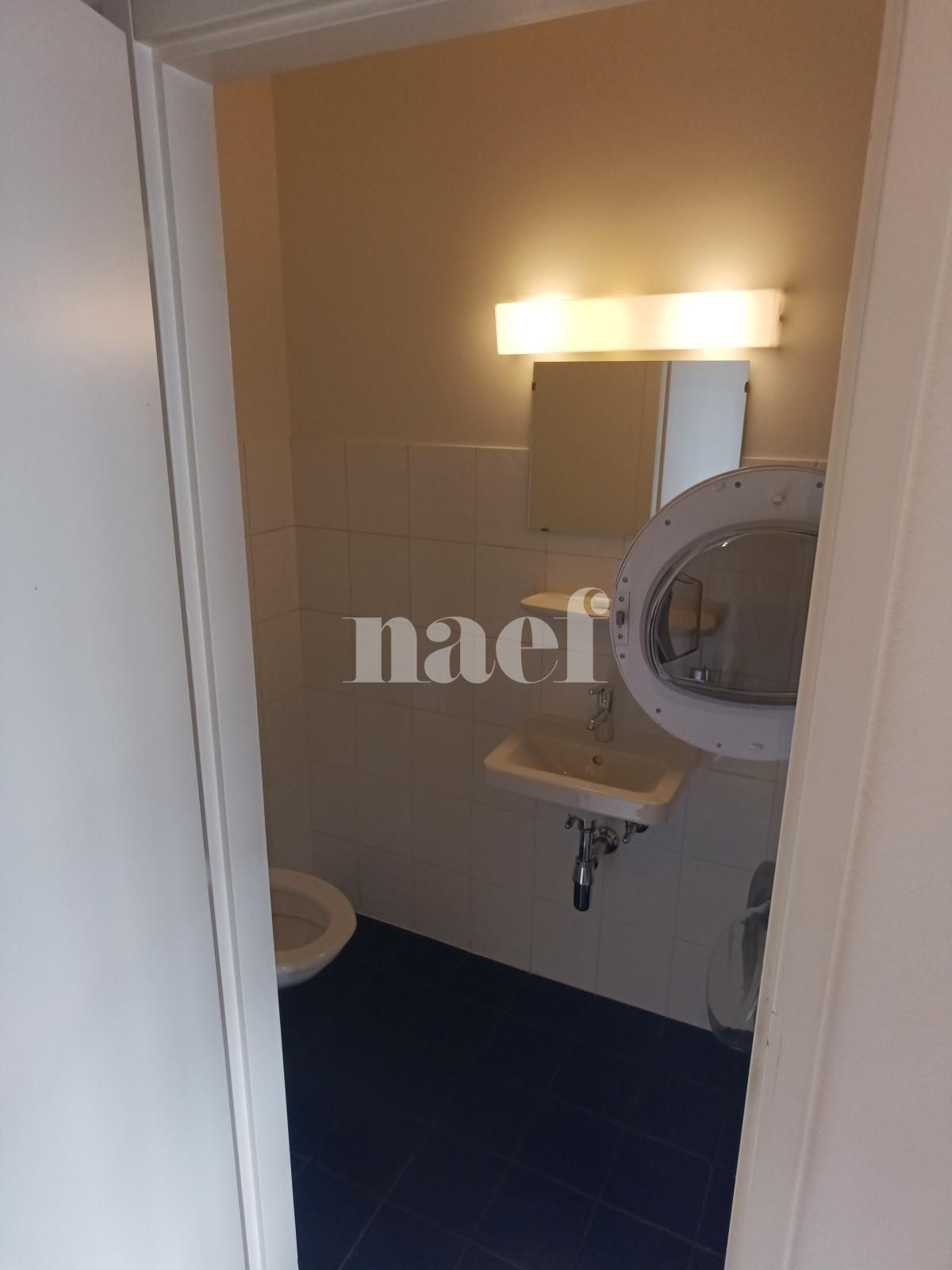 À louer : Appartement 3 Pieces Carouge GE - Ref : 211143.3002 | Naef Immobilier