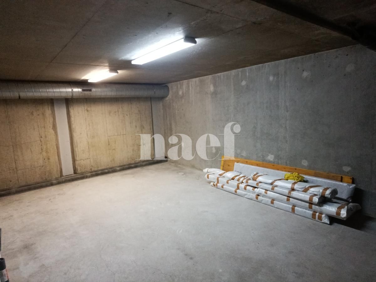 À louer : Dépôt Genève - Ref : 211162.82001 | Naef Immobilier