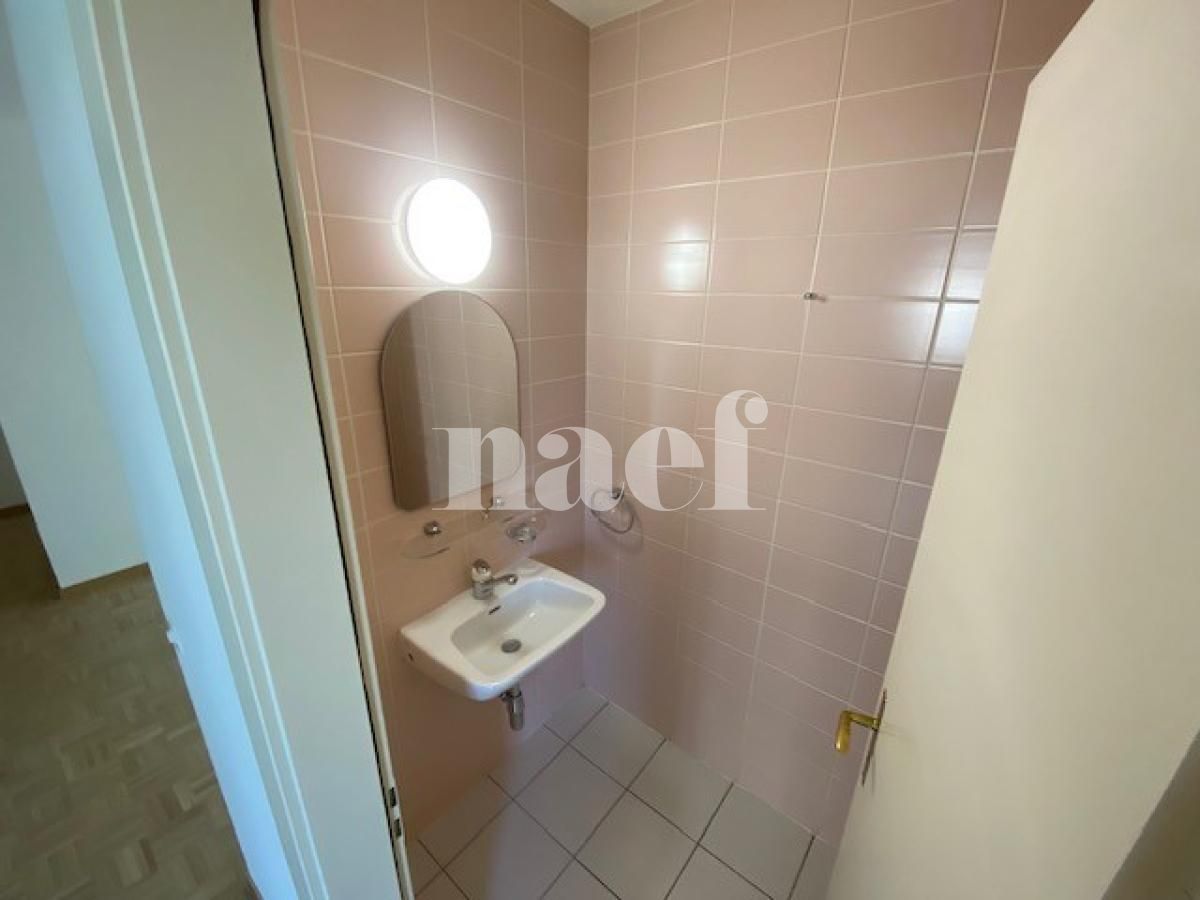 À louer : Appartement 5 Pieces Carouge GE - Ref : 211166.2021 | Naef Immobilier