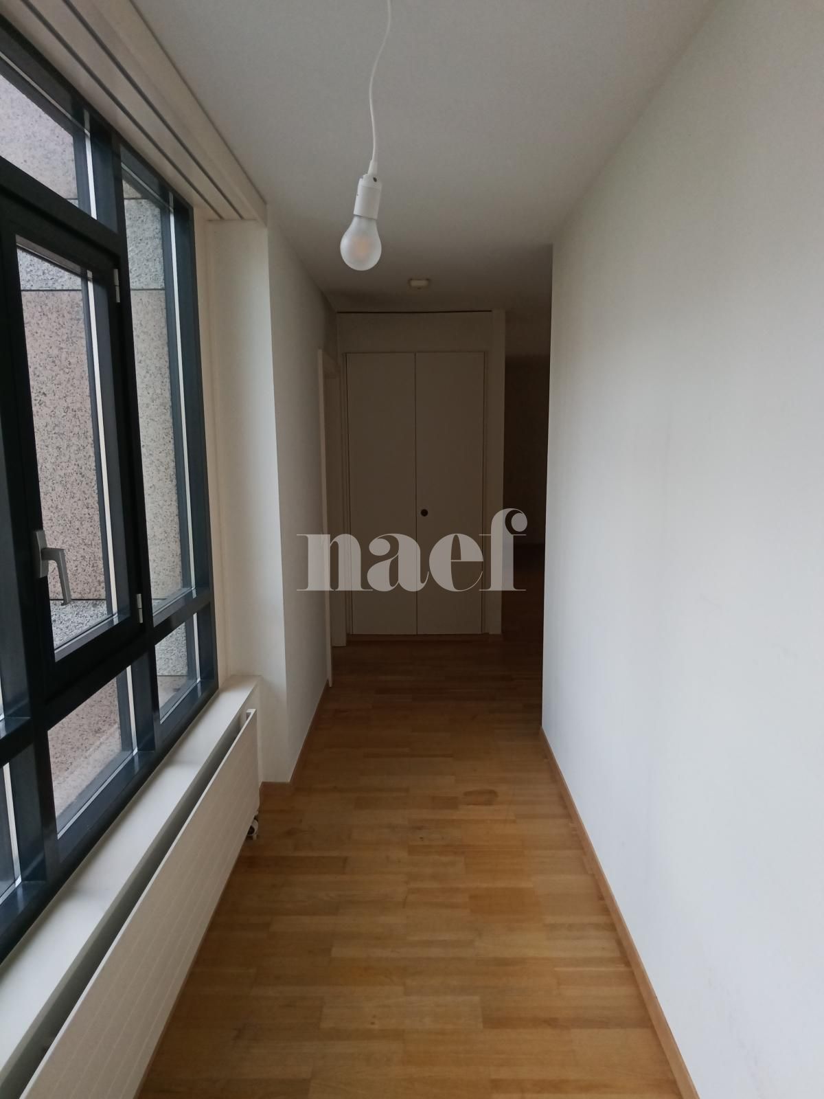 À louer : Appartement 5 Pieces Carouge GE - Ref : 211166.2021 | Naef Immobilier