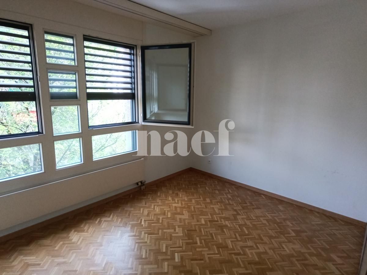 À louer : Appartement 5 Pieces Carouge GE - Ref : 211166.2021 | Naef Immobilier