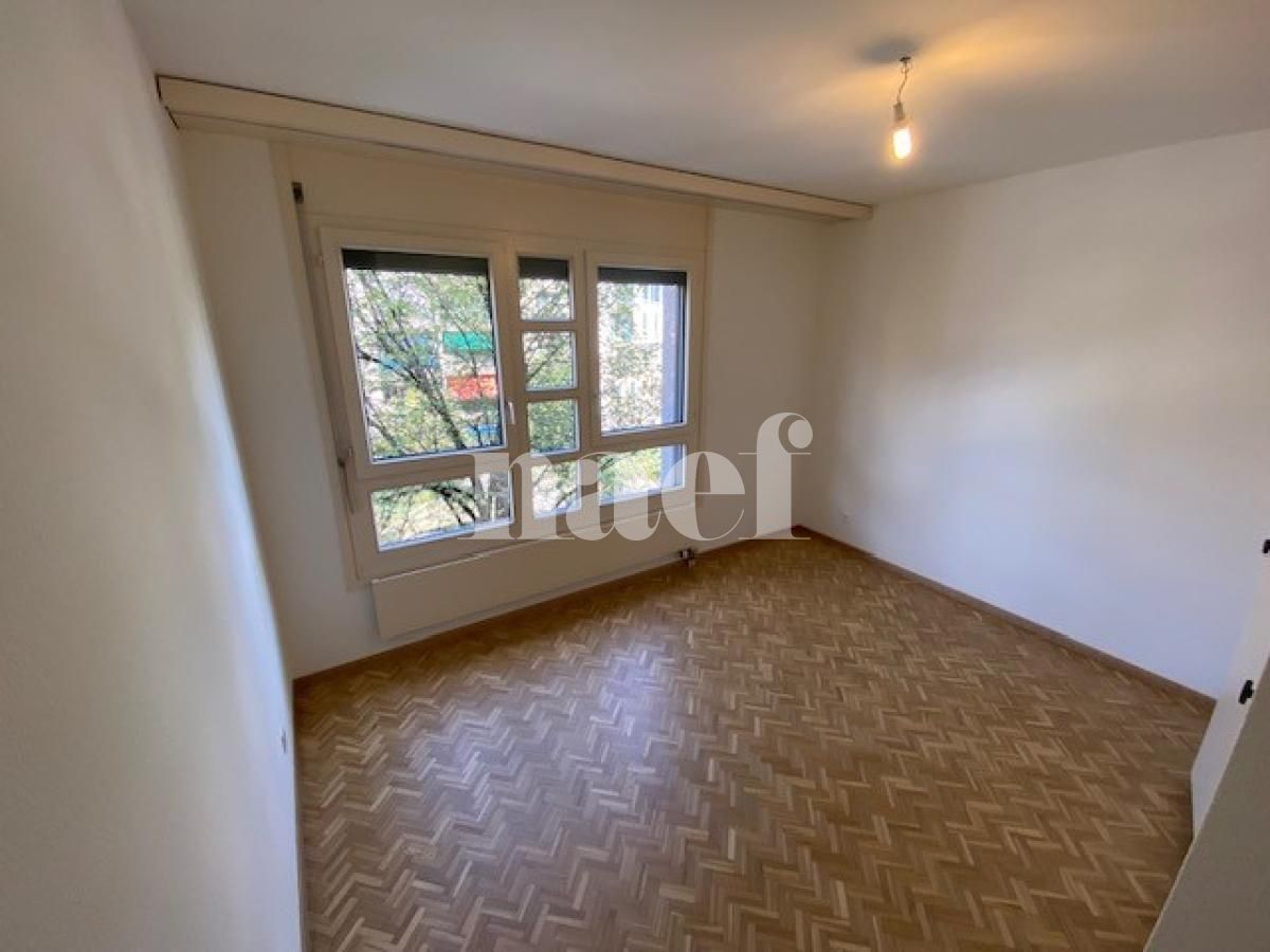 À louer : Appartement 5 Pieces Carouge GE - Ref : 211166.2021 | Naef Immobilier