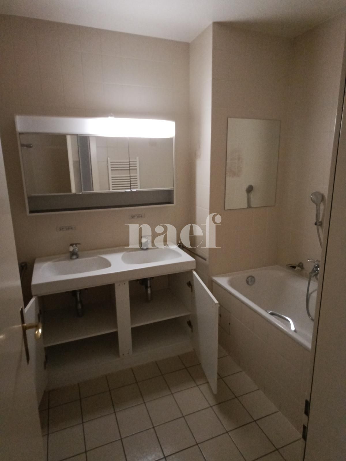 À louer : Appartement 5 Pieces Carouge GE - Ref : 211166.2021 | Naef Immobilier