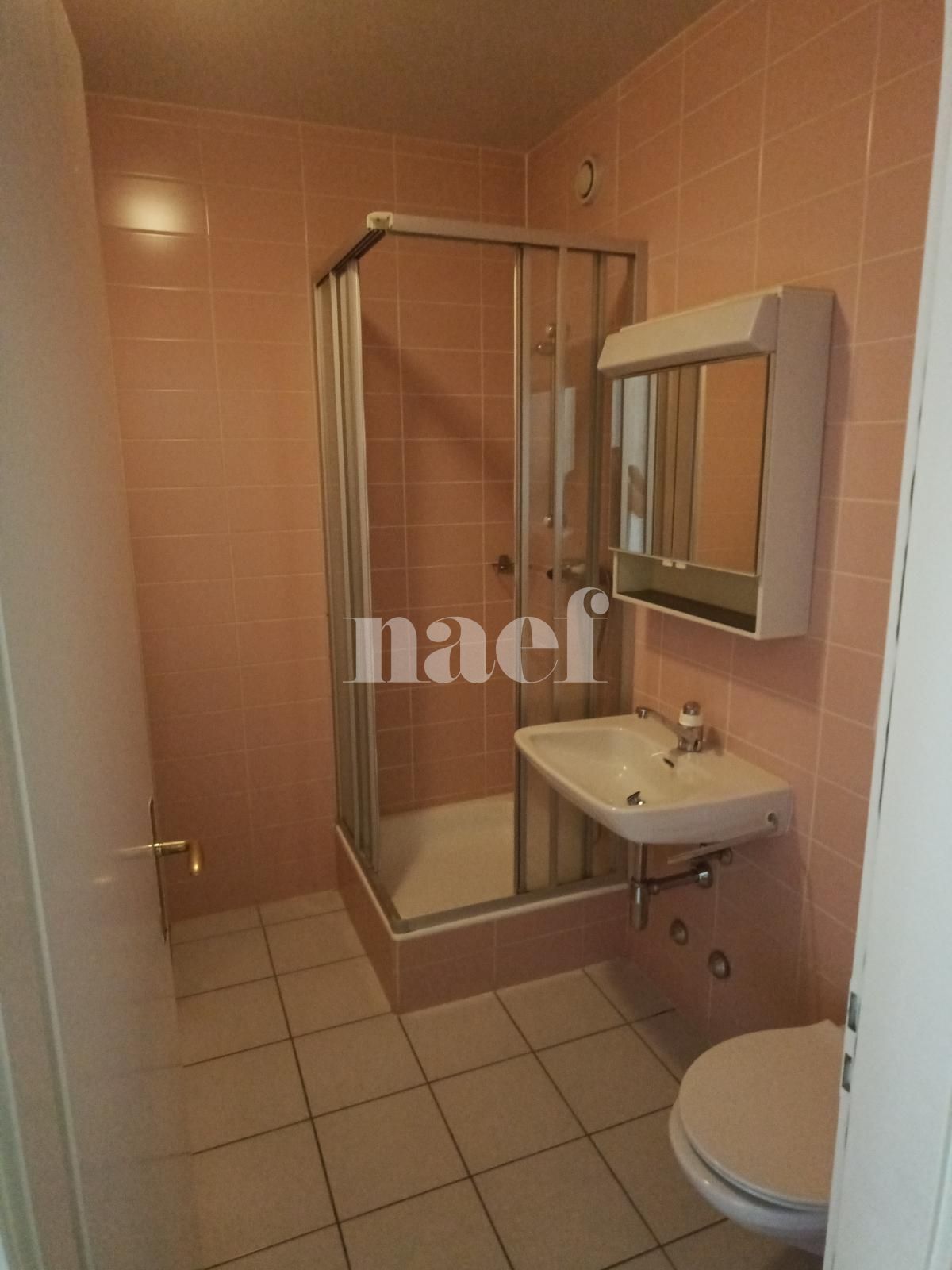 À louer : Appartement 5 Pieces Carouge GE - Ref : 211166.2021 | Naef Immobilier