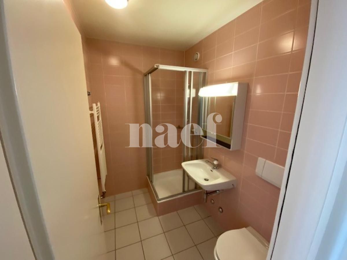 À louer : Appartement 5 Pieces Carouge GE - Ref : 211166.2021 | Naef Immobilier