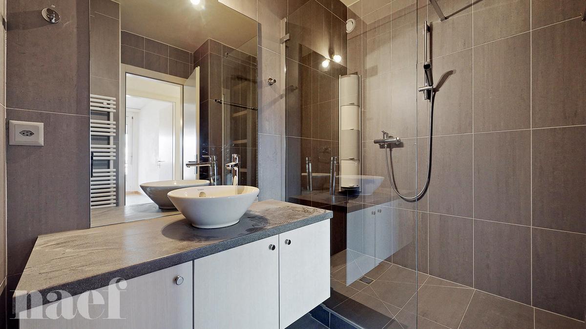 À louer : Appartement 6 Pieces Carouge GE - Ref : 211166.5053 | Naef Immobilier