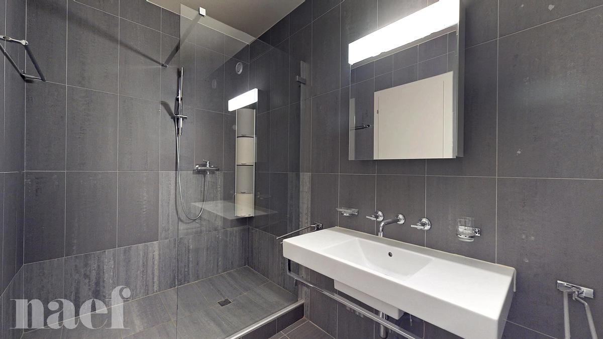 À louer : Appartement 6 Pieces Carouge GE - Ref : 211166.5053 | Naef Immobilier