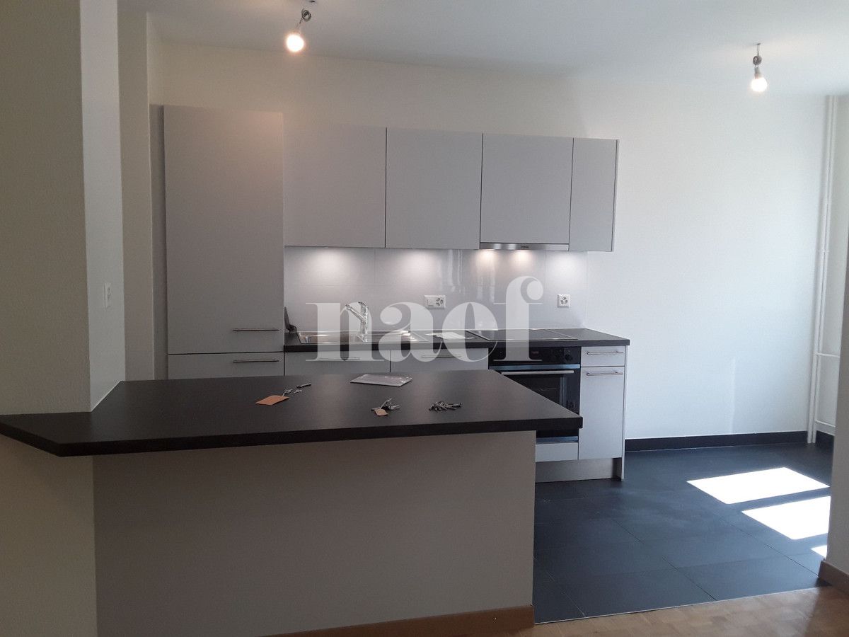 À louer : Appartement 3 Pieces Genève - Ref : 211176.3002 | Naef Immobilier