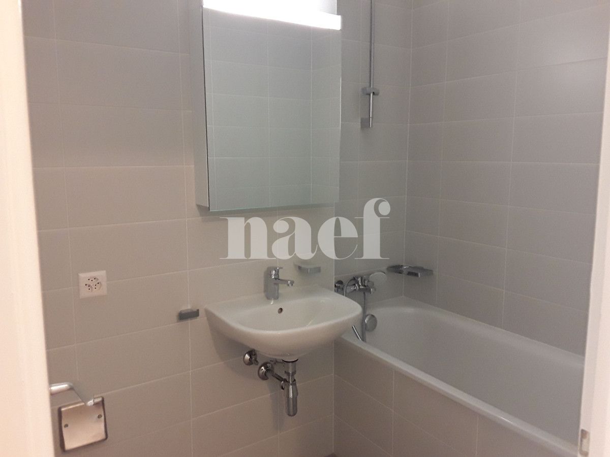 À louer : Appartement 3 Pieces Genève - Ref : 211176.3002 | Naef Immobilier