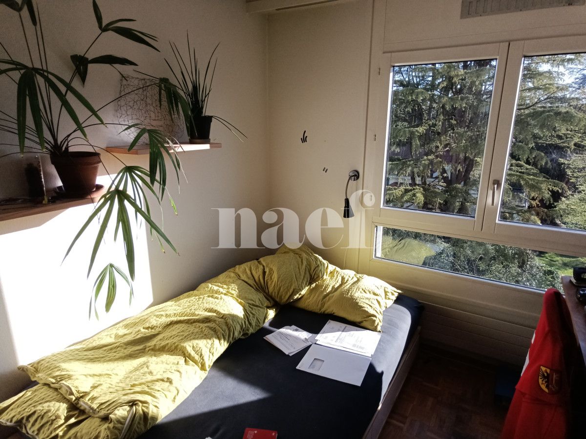 À louer : Appartement 5 Pieces Petit-Lancy - Ref : 211177.4001 | Naef Immobilier