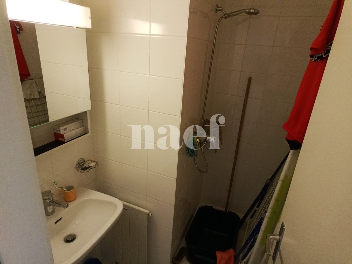 À louer : Appartement 5 Pieces Petit-Lancy - Ref : 211177.4001 | Naef Immobilier