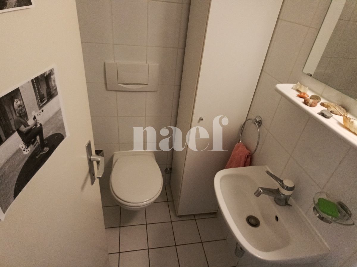 À louer : Appartement 5 Pieces Petit-Lancy - Ref : 211177.4001 | Naef Immobilier
