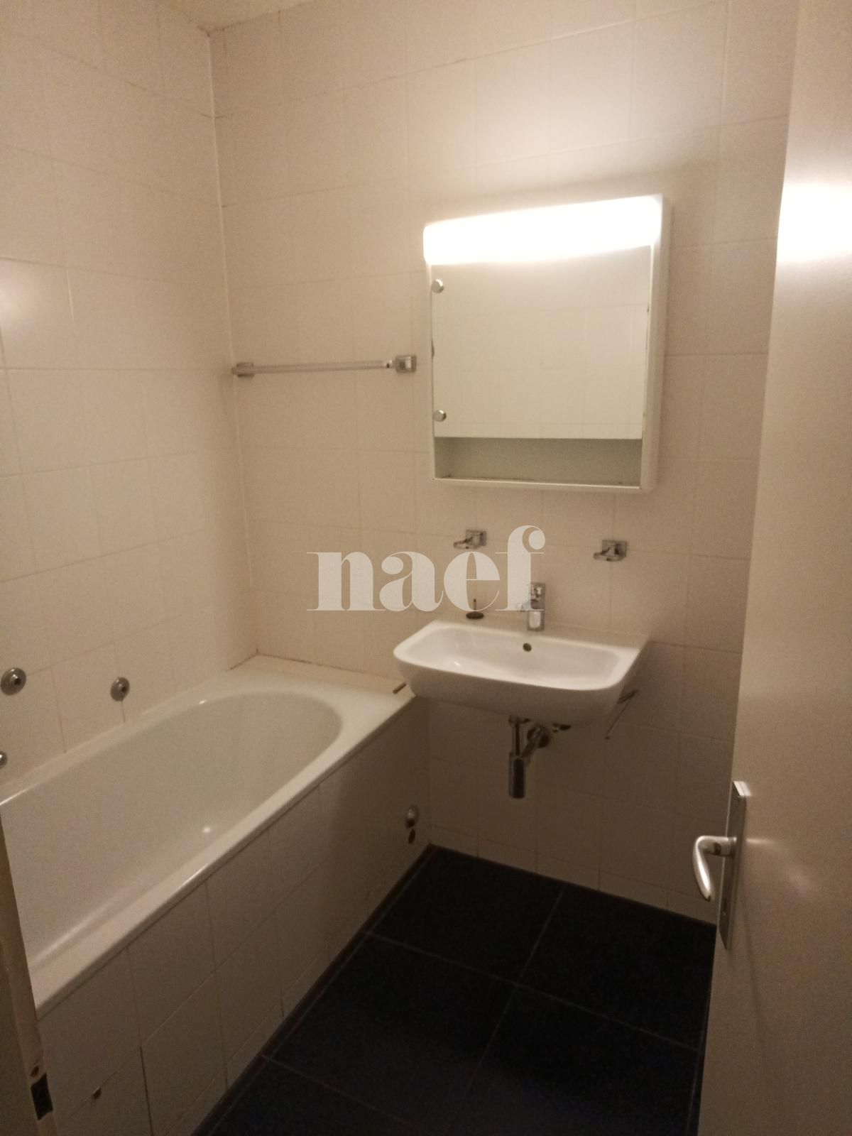 À louer : Appartement 5.5 Pieces Vernier - Ref : 211180.1001 | Naef Immobilier