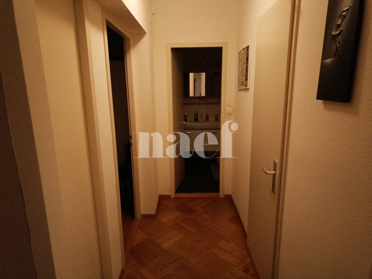 À louer : Appartement 5.5 Pieces Vernier - Ref : 211183.2001 | Naef Immobilier