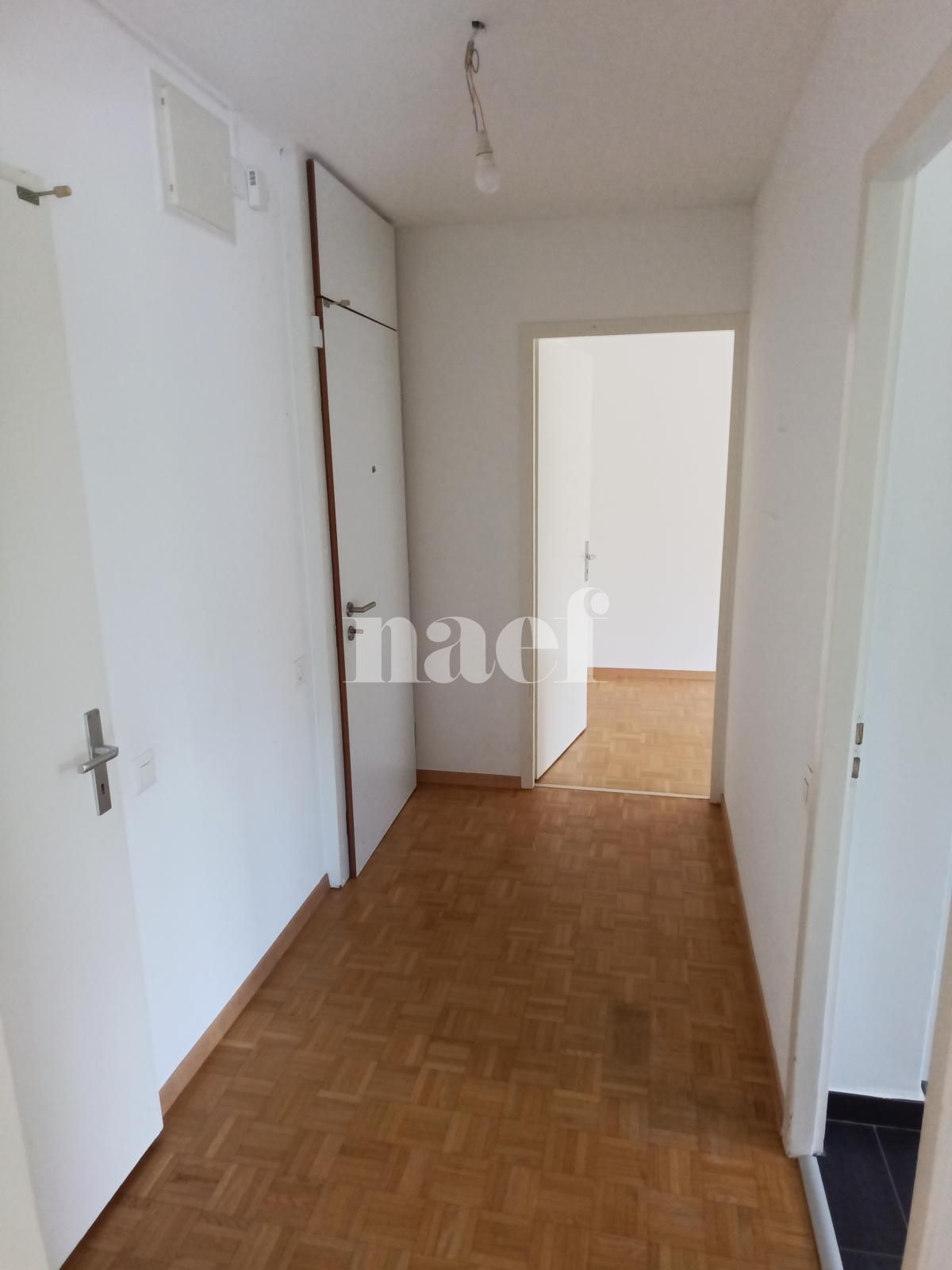 À louer : Appartement 3 Pieces Onex - Ref : 211195.1003 | Naef Immobilier
