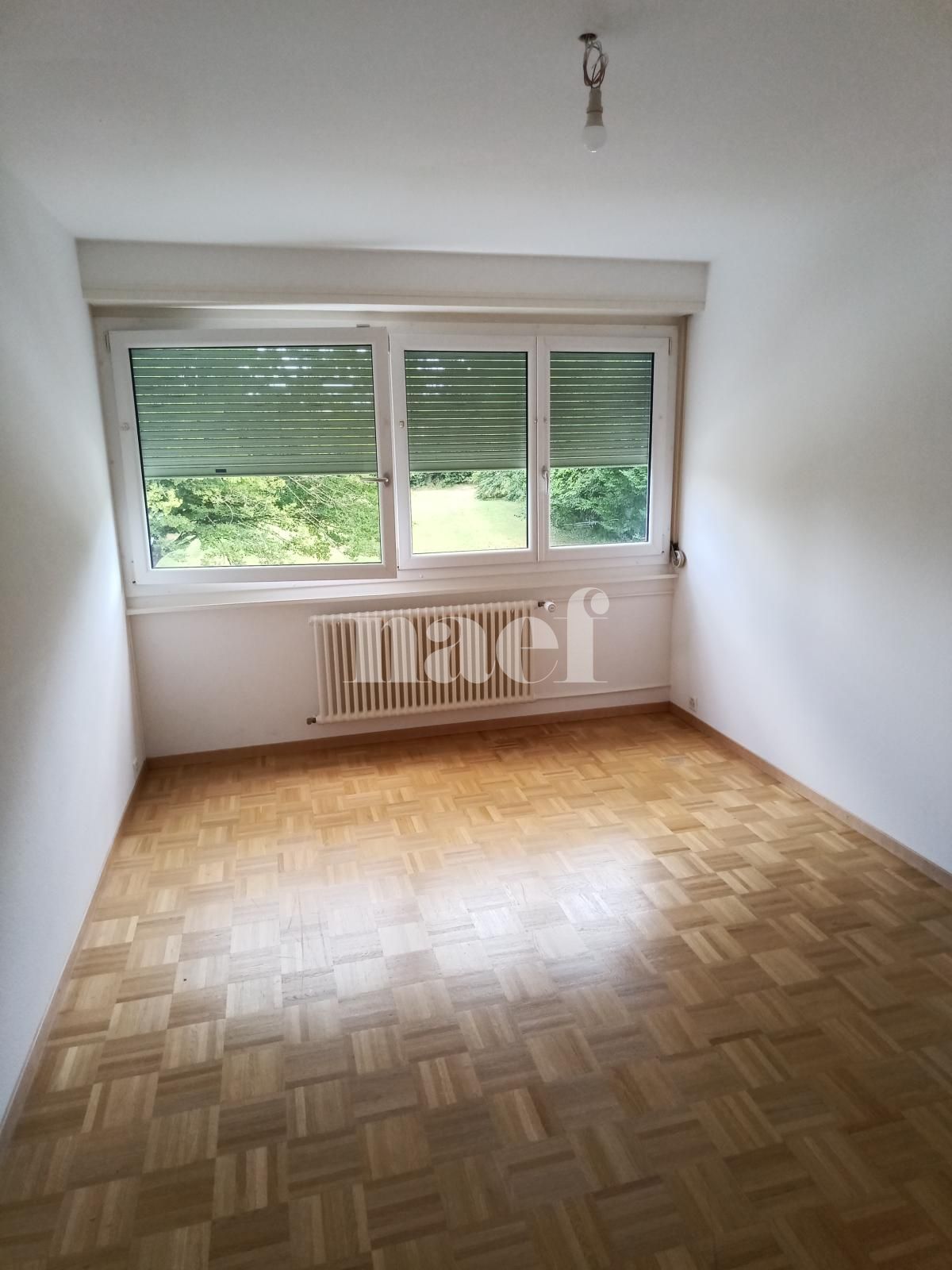 À louer : Appartement 3 Pieces Onex - Ref : 211195.1003 | Naef Immobilier