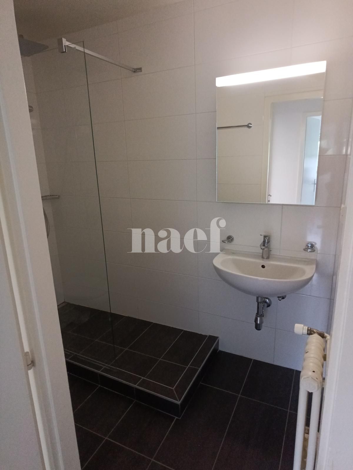 À louer : Appartement 3 Pieces Onex - Ref : 211195.1003 | Naef Immobilier