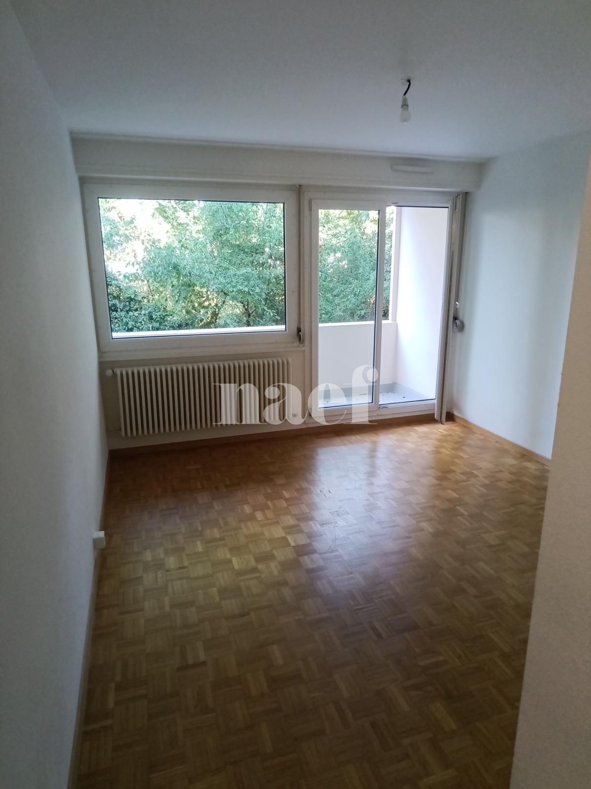 À louer : Appartement 2 Pieces Onex - Ref : 211197.2 | Naef Immobilier