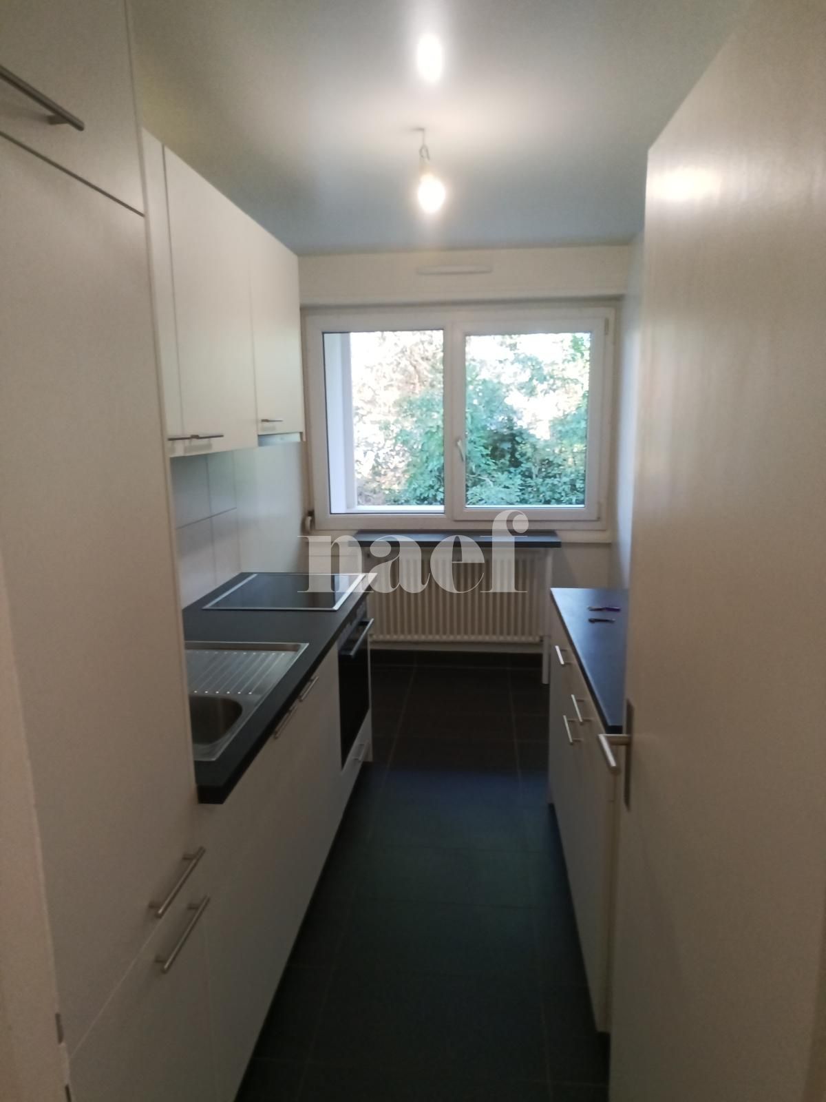 À louer : Appartement 2 Pieces Onex - Ref : 211197.2 | Naef Immobilier