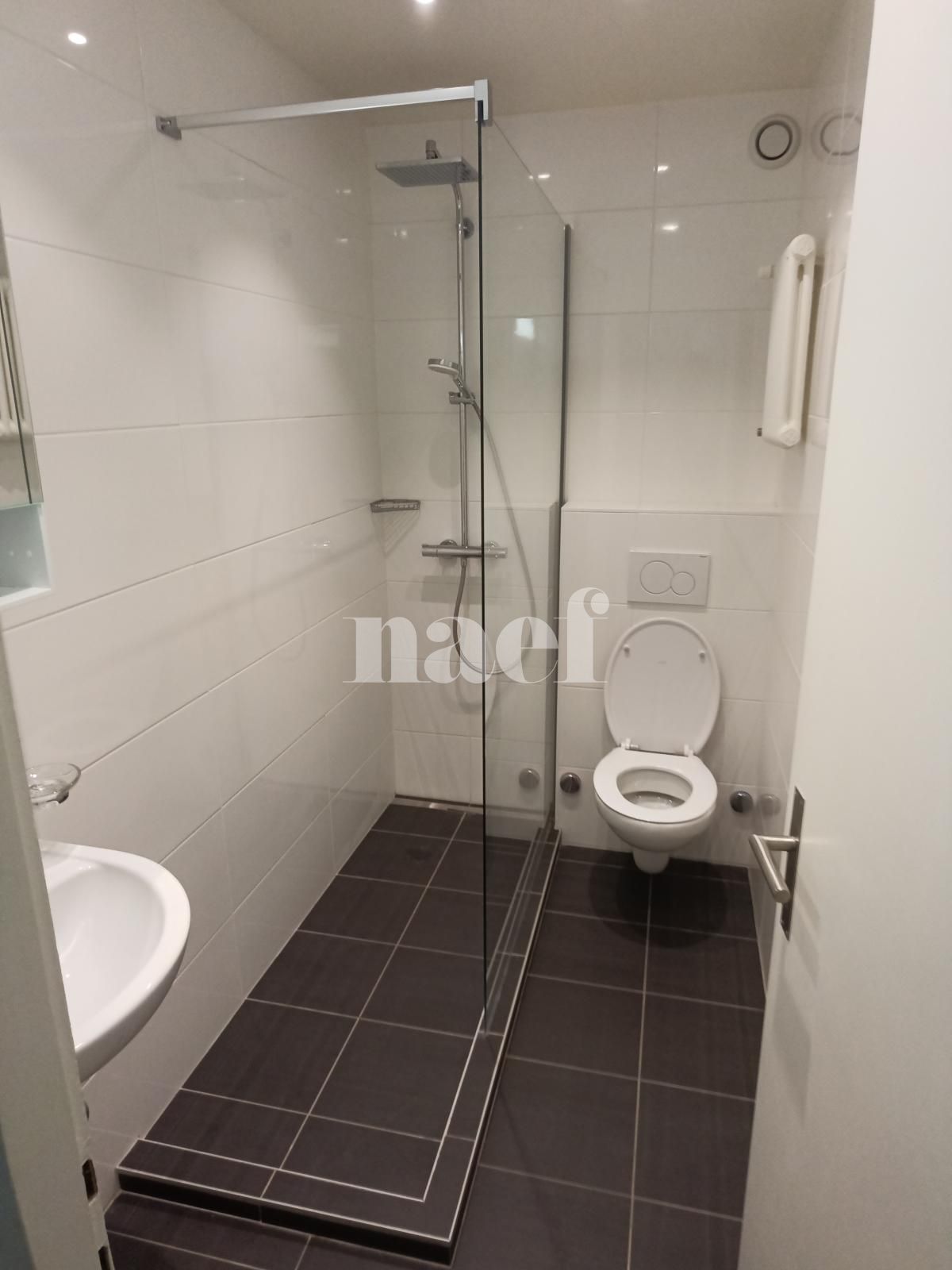 À louer : Appartement 2 Pieces Onex - Ref : 211197.2 | Naef Immobilier