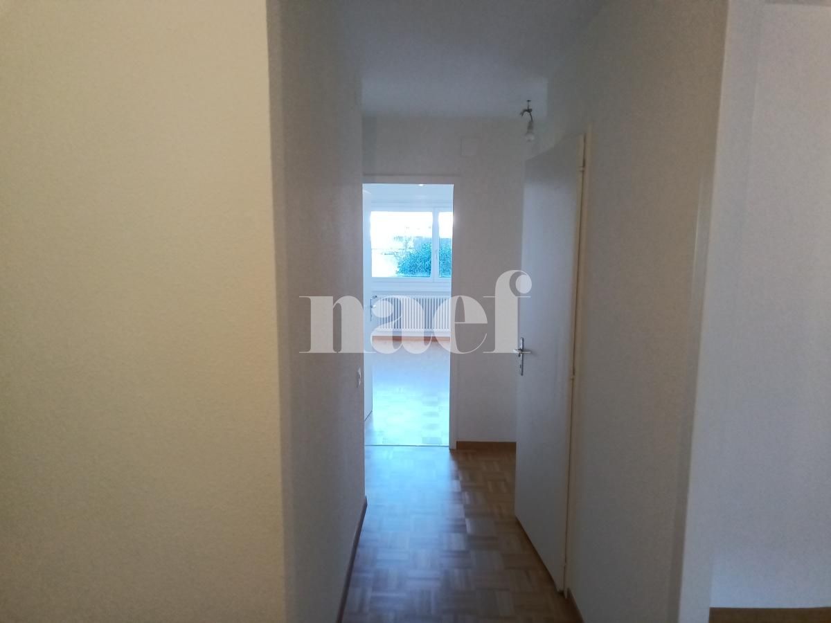 À louer : Appartement 4 Pieces Onex - Ref : 211197.3 | Naef Immobilier