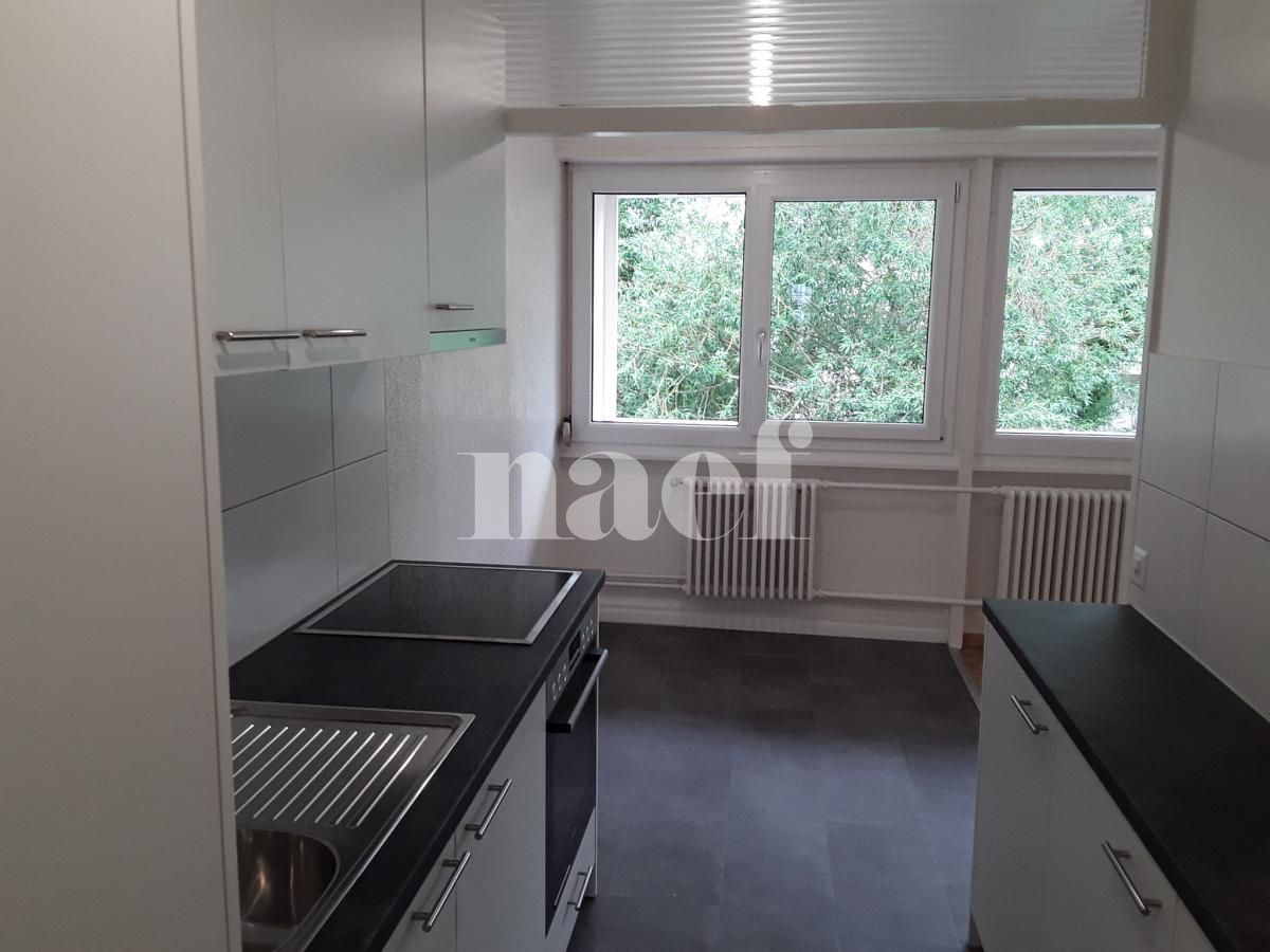 À louer : Appartement 6 Pieces Onex - Ref : 211198.2001 | Naef Immobilier