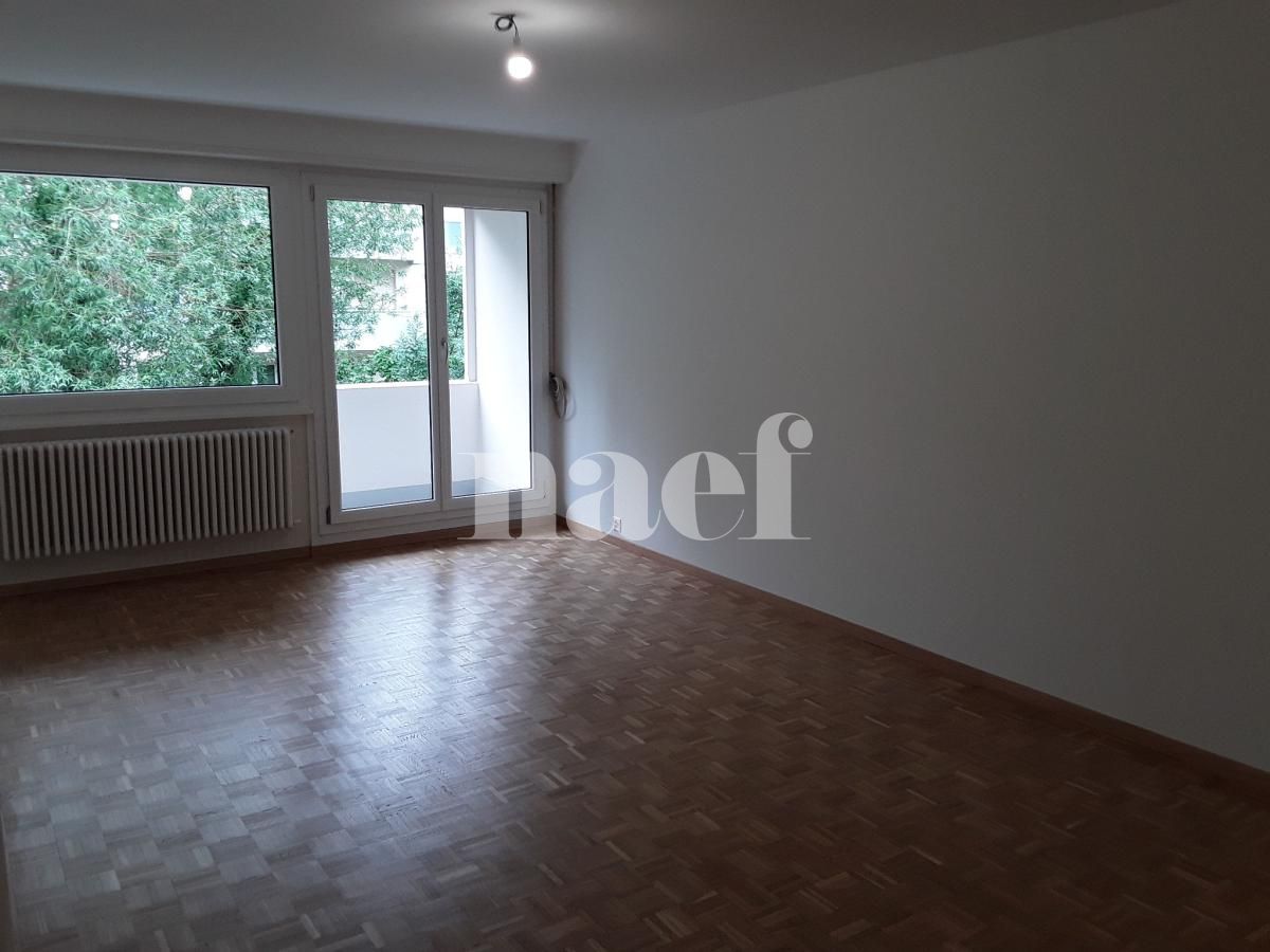 À louer : Appartement 6 Pieces Onex - Ref : 211198.2001 | Naef Immobilier