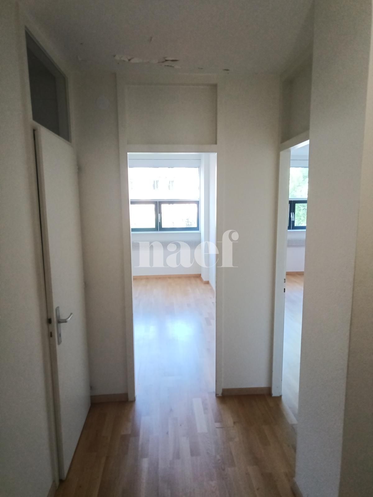 À louer : Appartement 2 Pieces Genève - Ref : 211203.2001 | Naef Immobilier