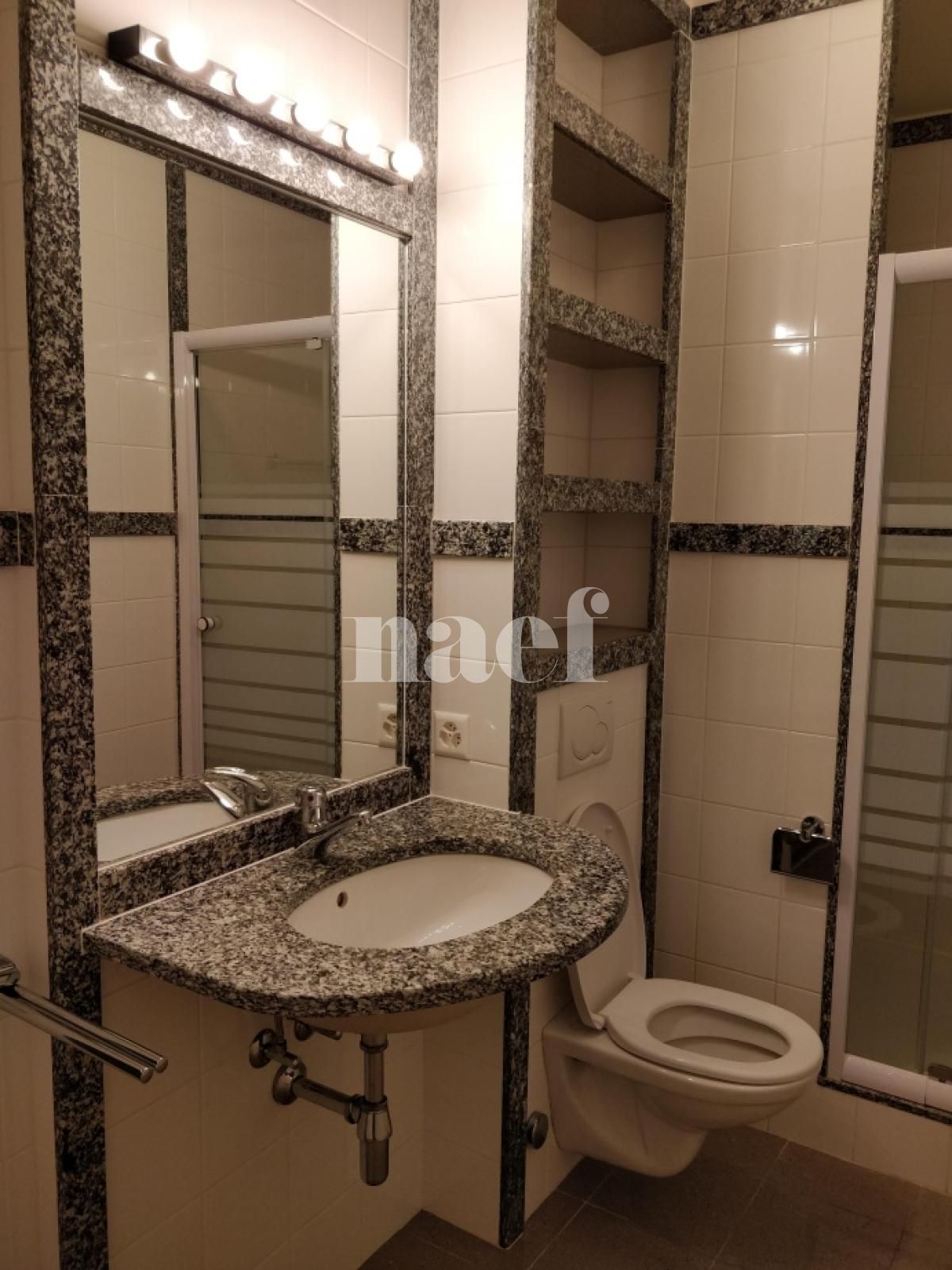 À louer : Appartement 2 Pieces Genève - Ref : 211205.1 | Naef Immobilier