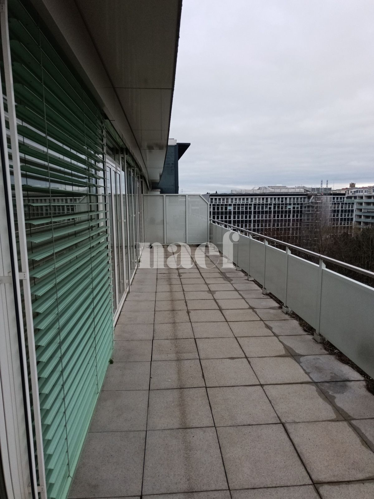 À louer : Appartement 5.5 Pieces Genève - Ref : 211205.8002 | Naef Immobilier