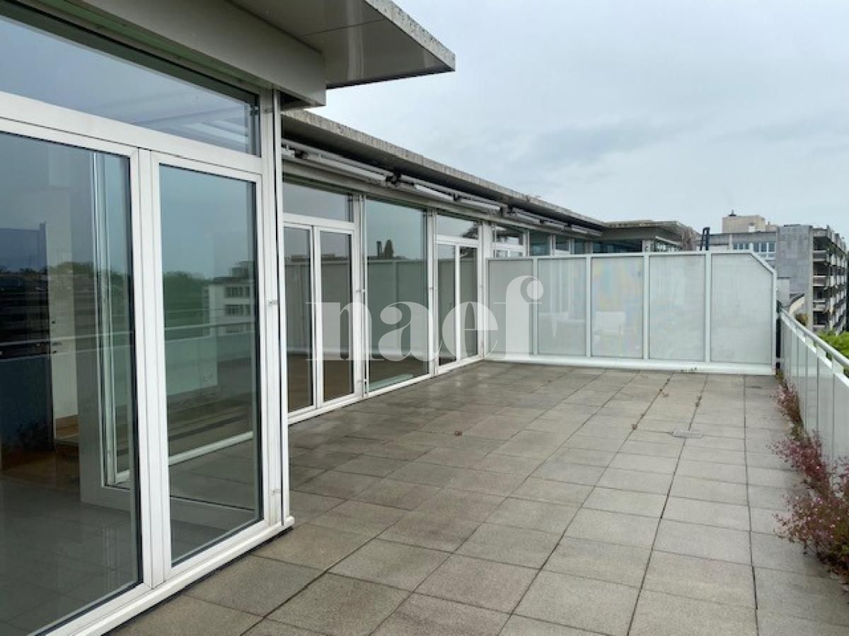 À louer : Appartement 5.5 Pieces Genève - Ref : 211205.8002 | Naef Immobilier