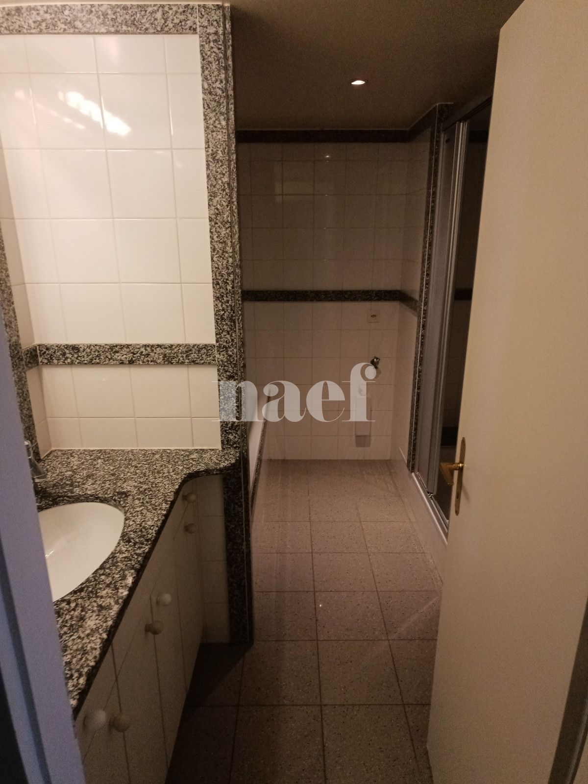 À louer : Appartement 5.5 Pieces Genève - Ref : 211205.8002 | Naef Immobilier