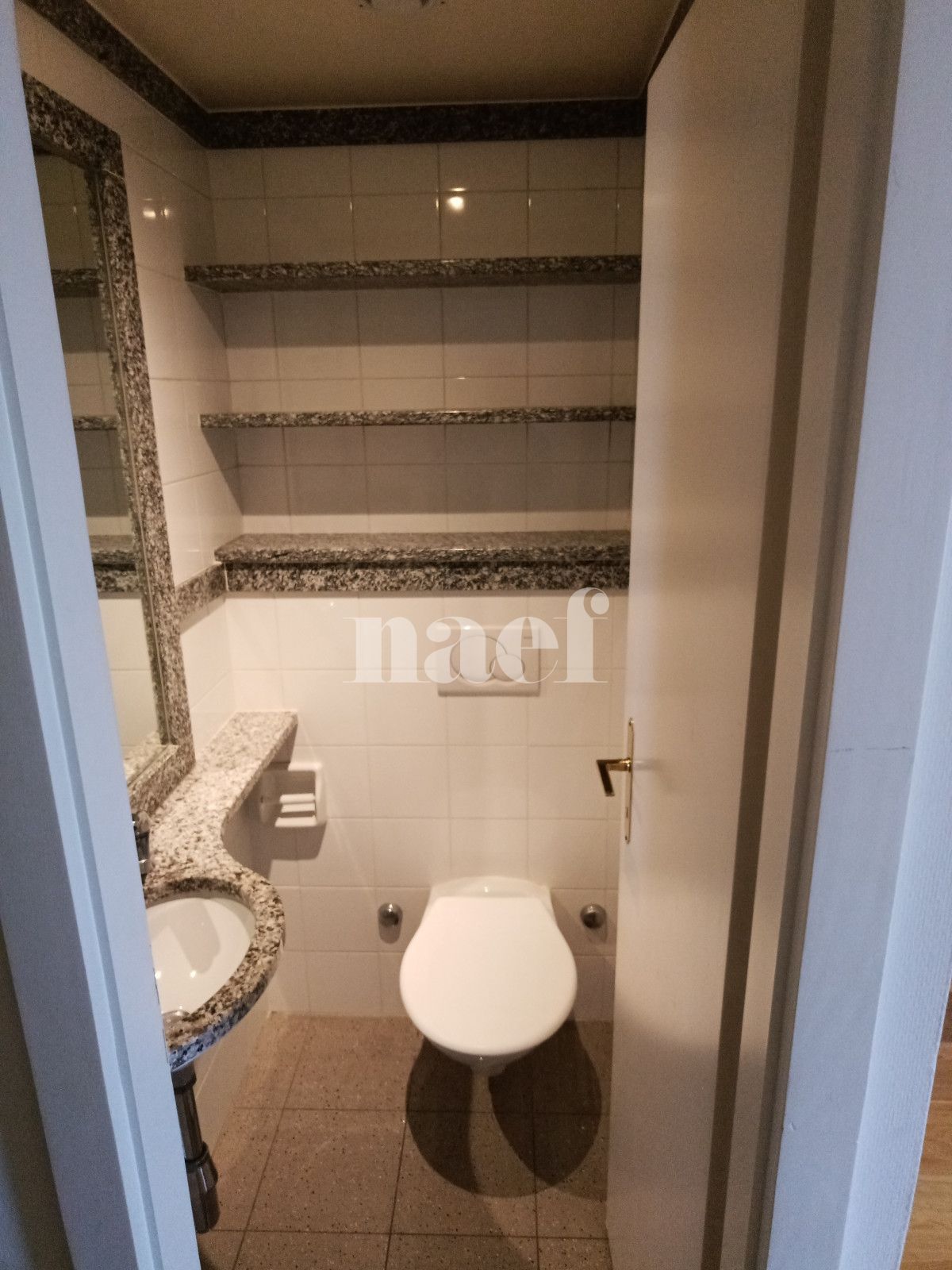 À louer : Appartement 5.5 Pieces Genève - Ref : 211205.8002 | Naef Immobilier