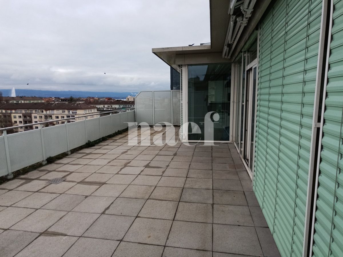 À louer : Appartement 5.5 Pieces Genève - Ref : 211205.8002 | Naef Immobilier