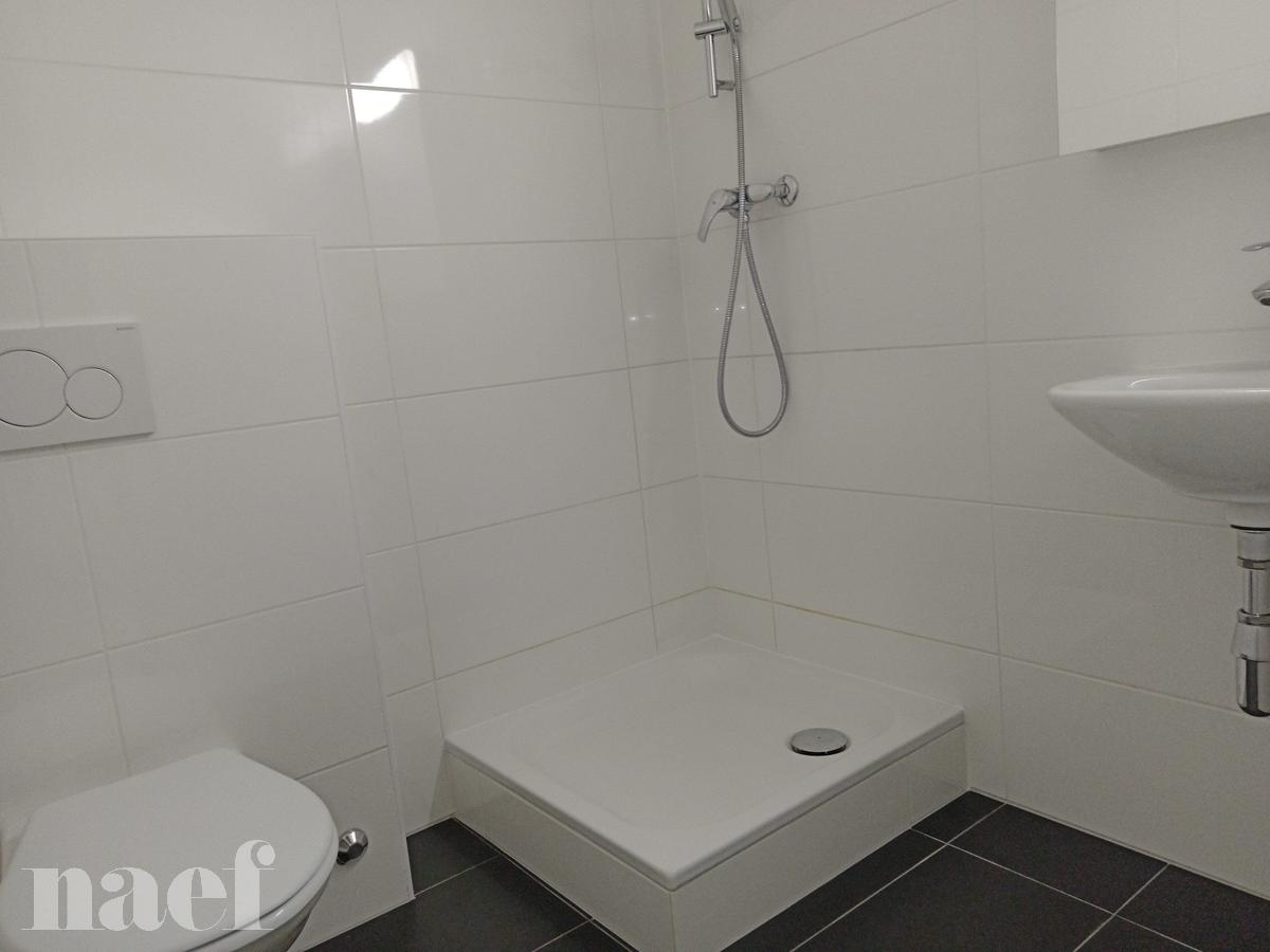 À louer : Appartement 2 Pieces Genève - Ref : 211214.1002 | Naef Immobilier
