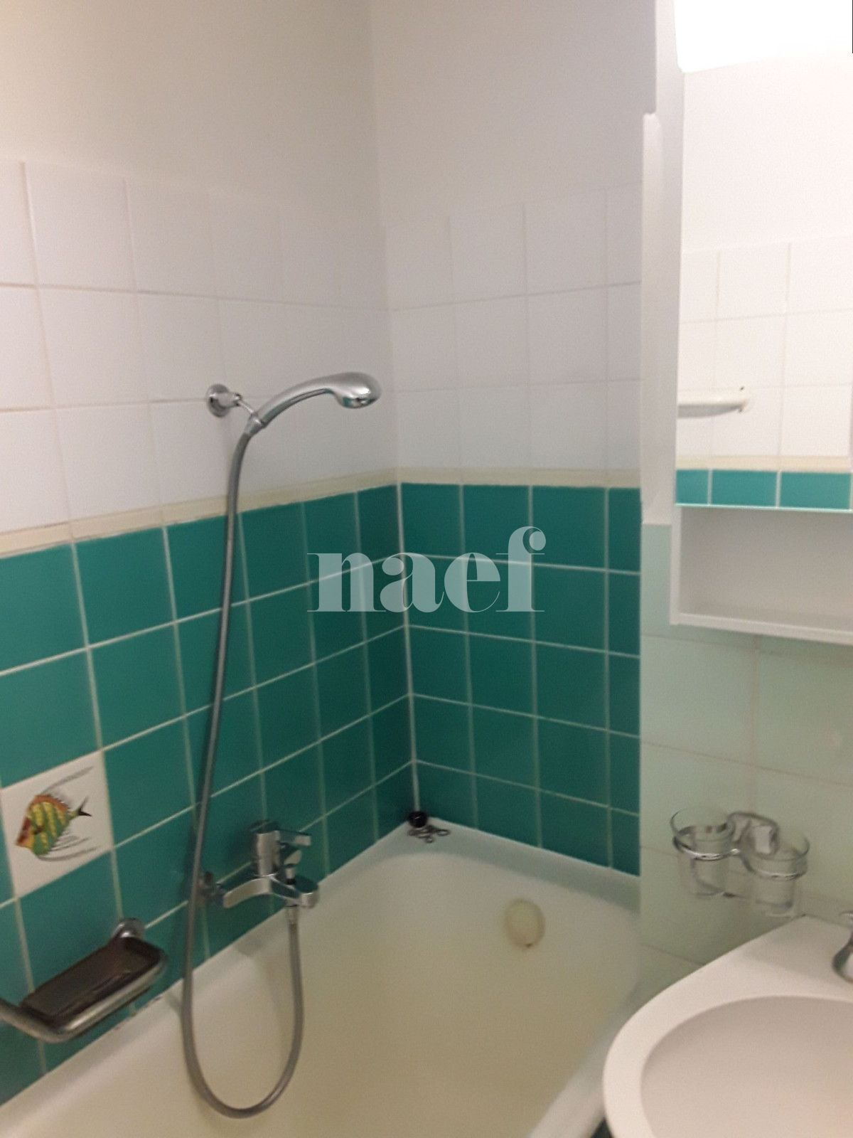 À louer : Appartement 4.5 Pieces Genève - Ref : 211300.6065 | Naef Immobilier
