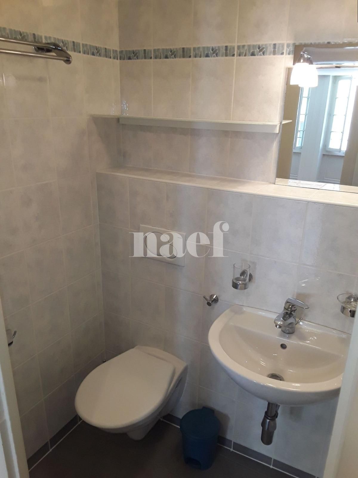 À louer : Appartement 1.5 Pieces Genève - Ref : 211583.2004 | Naef Immobilier