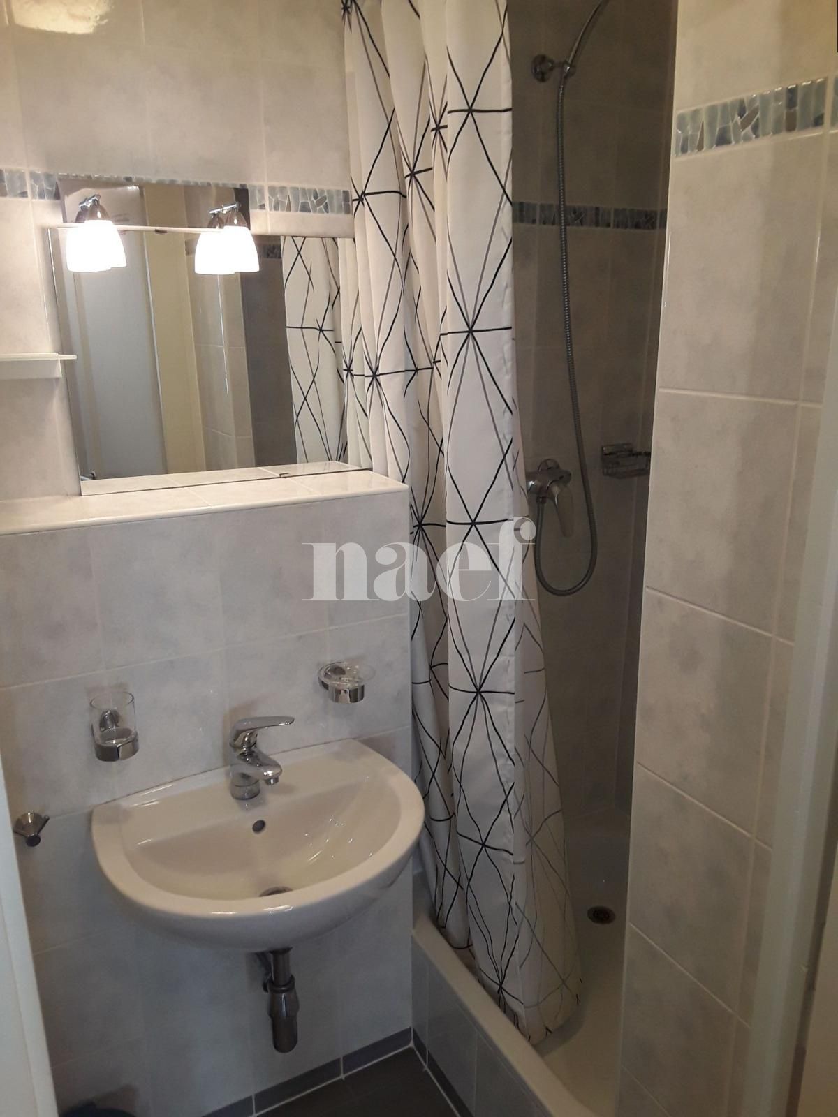 À louer : Appartement 1.5 Pieces Genève - Ref : 211583.2004 | Naef Immobilier