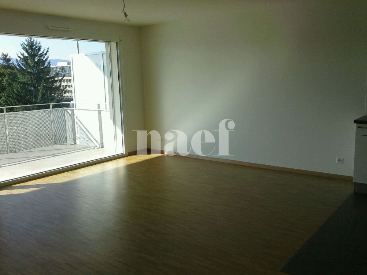 À louer : Appartement 5 Pieces Cointrin - Ref : 212161.3003 | Naef Immobilier