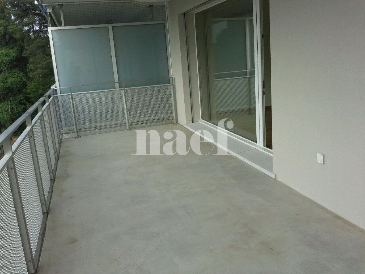 À louer : Appartement 5 Pieces Cointrin - Ref : 212161.3003 | Naef Immobilier