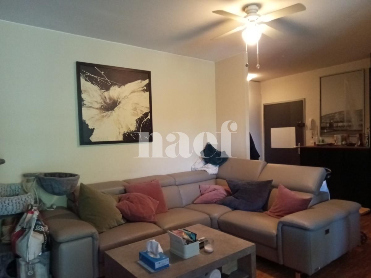 À louer : Appartement 6 Pieces Plan-les-Ouates - Ref : 212163.3001 | Naef Immobilier