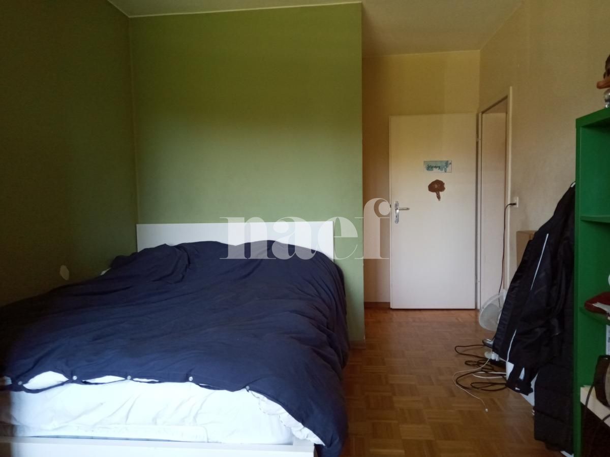 À louer : Appartement 6 Pieces Plan-les-Ouates - Ref : 212163.3001 | Naef Immobilier