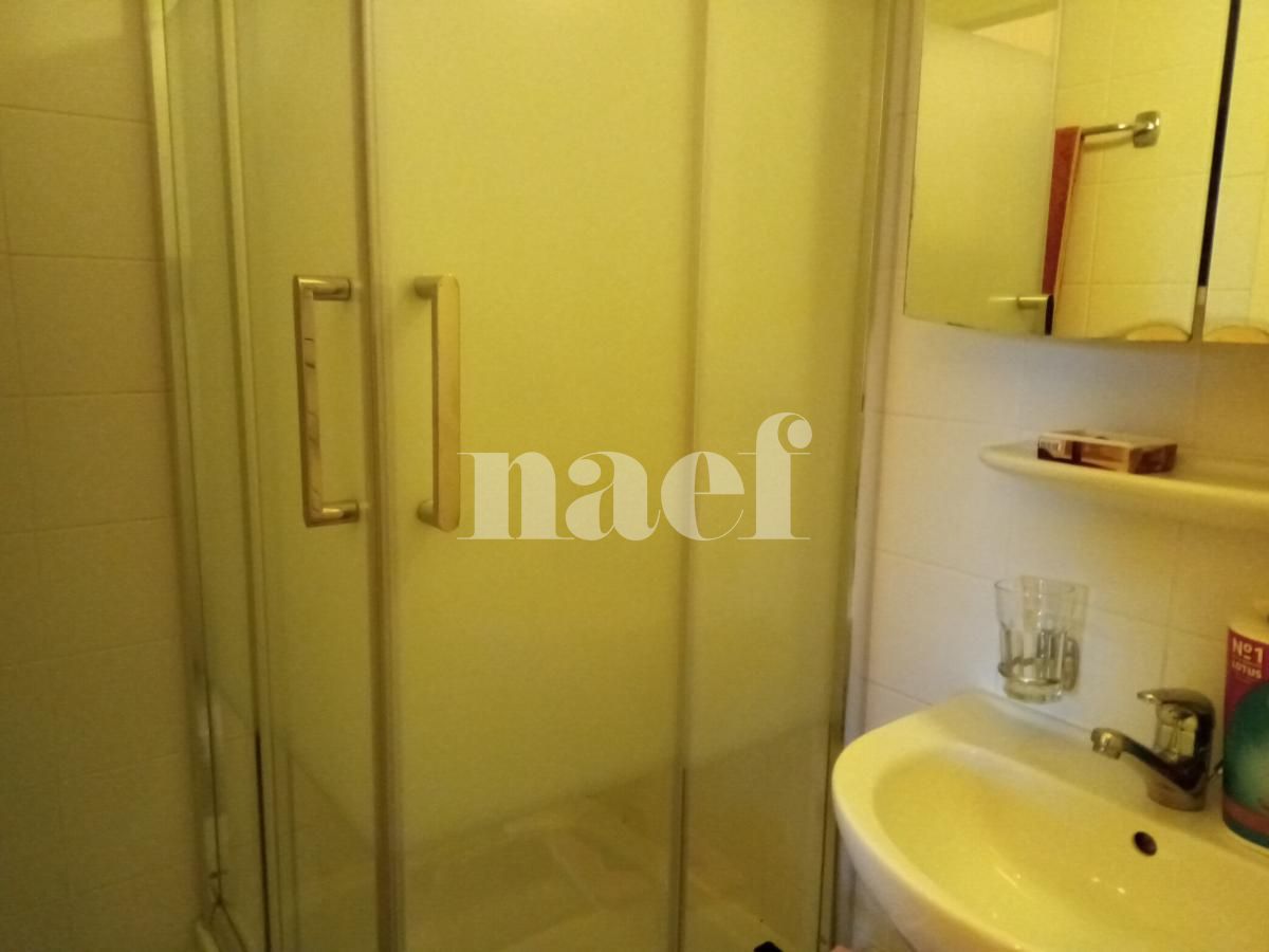 À louer : Appartement 6 Pieces Plan-les-Ouates - Ref : 212163.3001 | Naef Immobilier