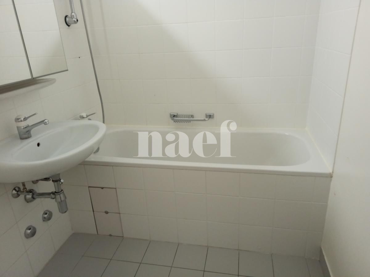 À louer : Appartement 6 Pieces Plan-les-Ouates - Ref : 212163.3001 | Naef Immobilier