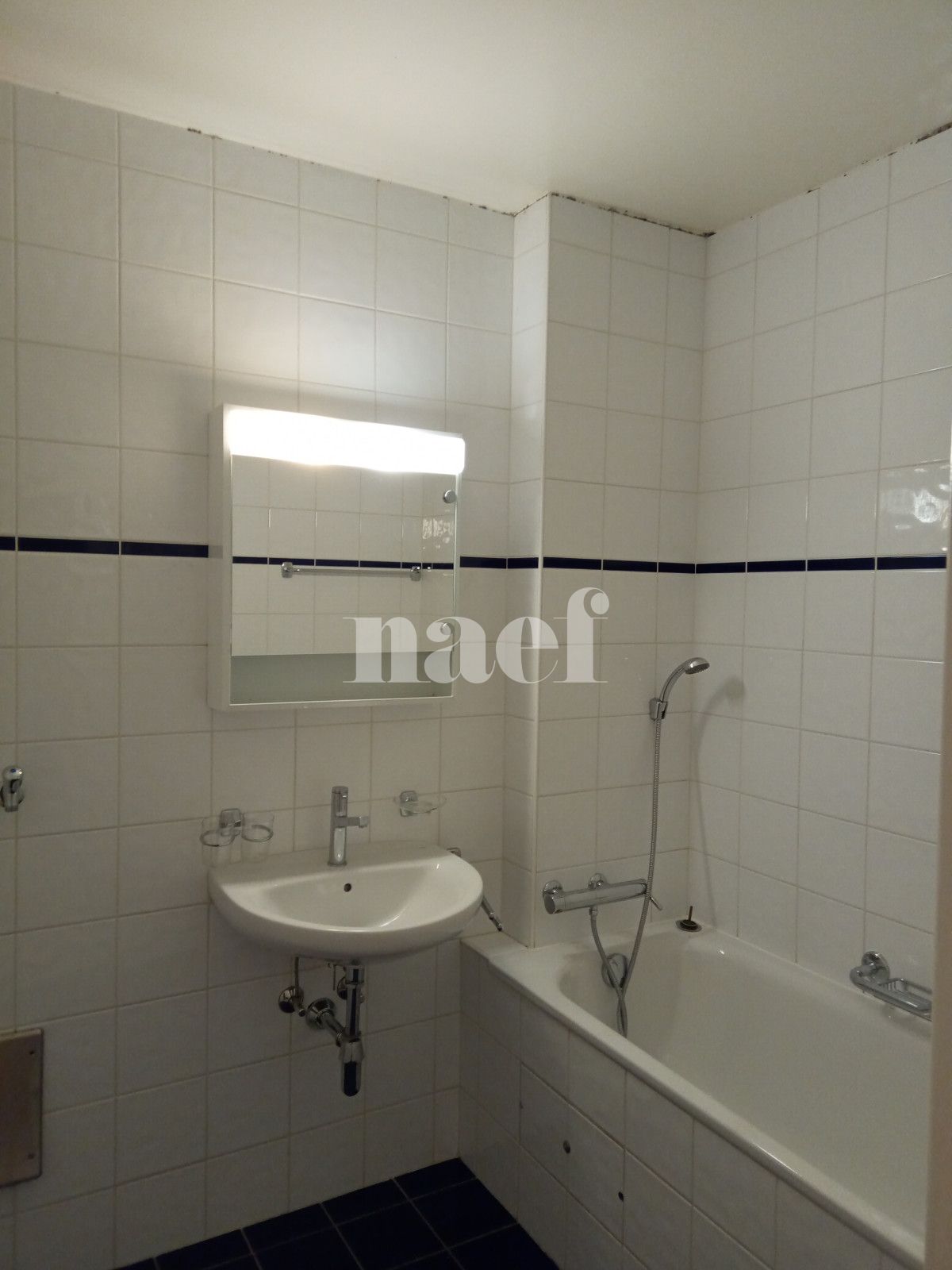 À louer : Appartement 4.5 Pieces Genève - Ref : 212198.5005 | Naef Immobilier