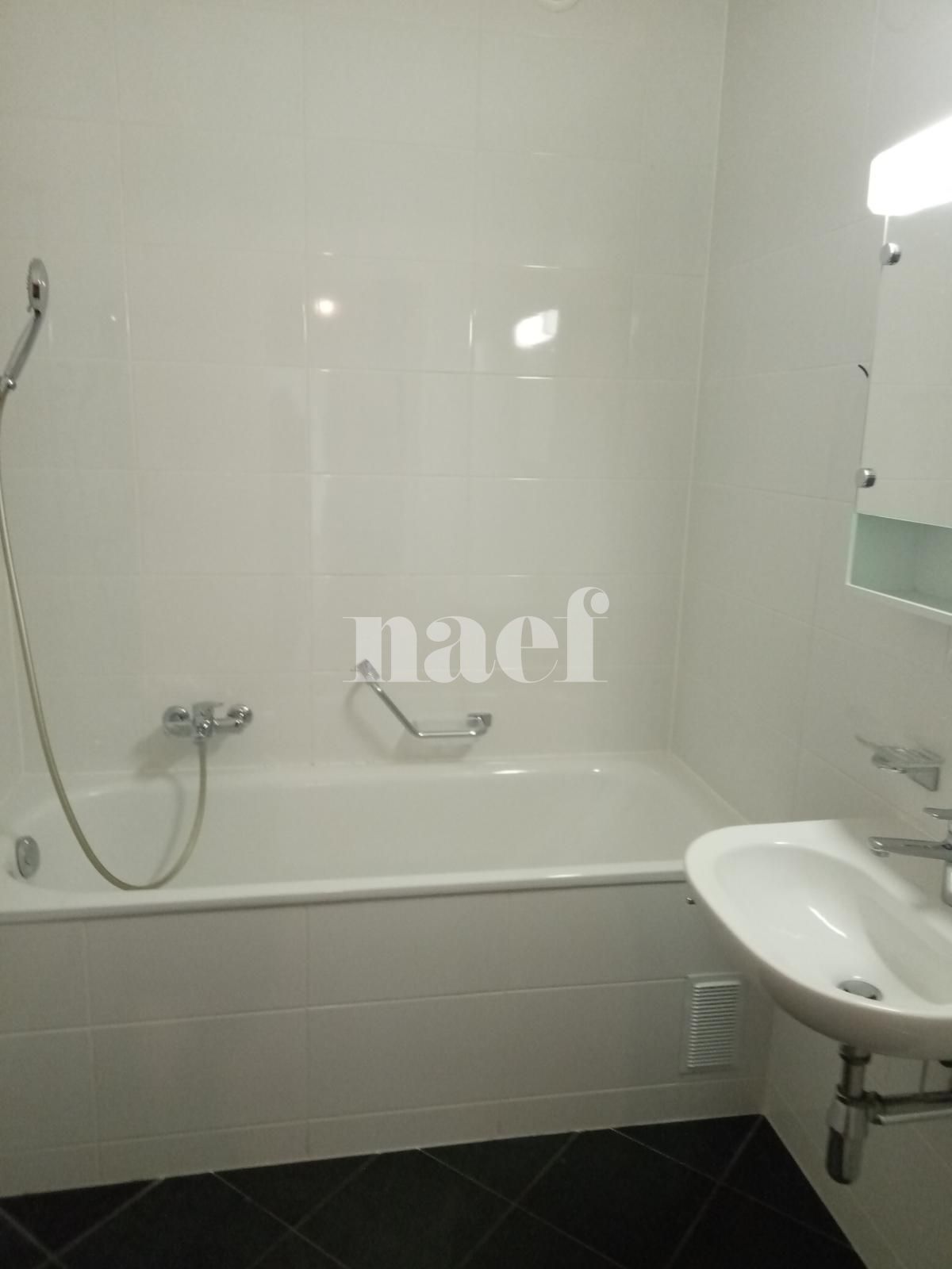 À louer : Appartement 4.5 Pieces Genève - Ref : 212199.3007 | Naef Immobilier