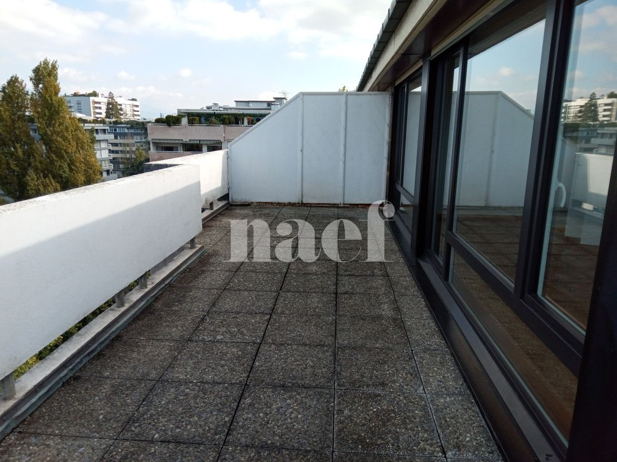 À louer : Appartement 6.5 Pieces Genève - Ref : 212200.9003 | Naef Immobilier