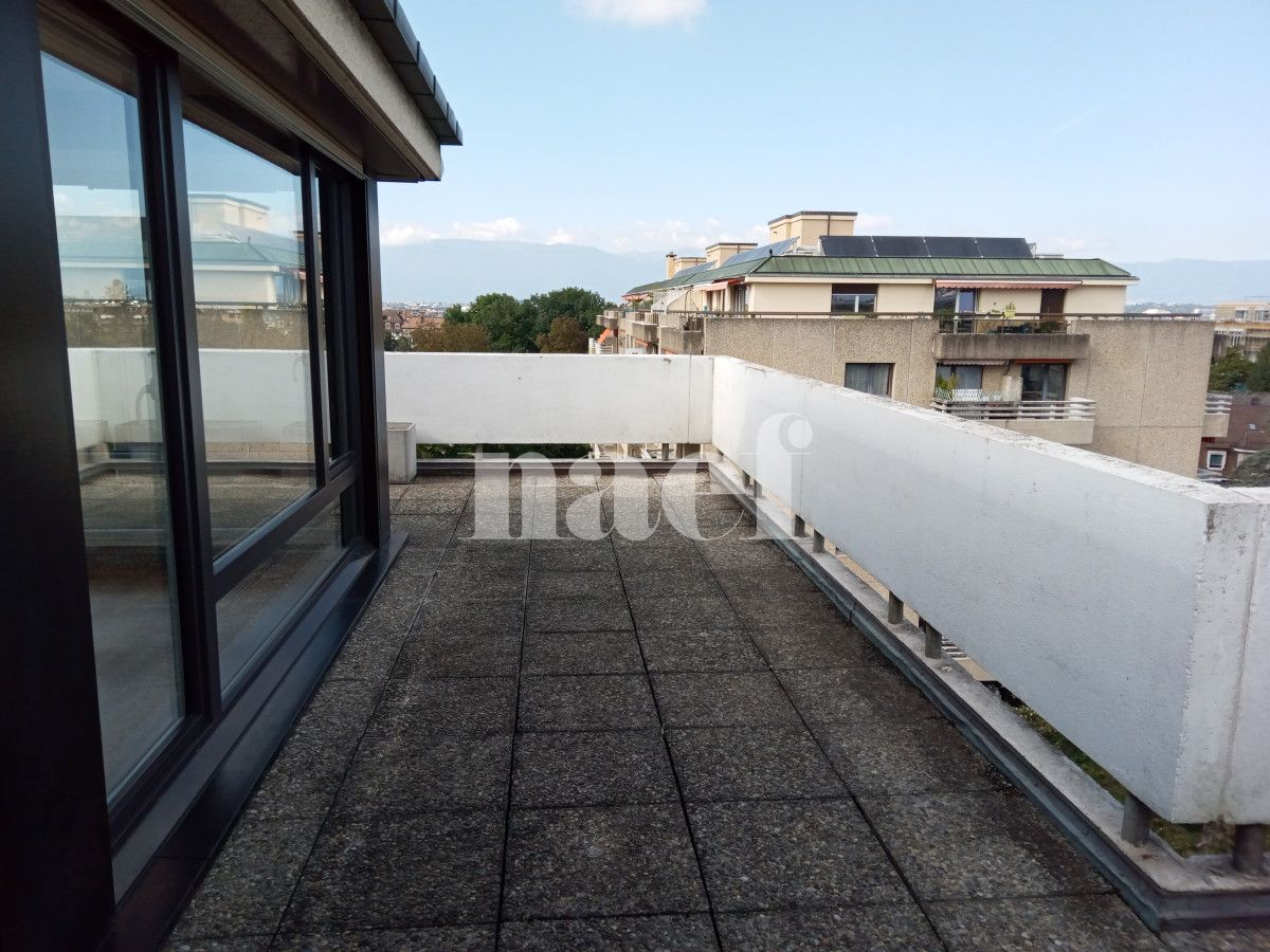 À louer : Appartement 6.5 Pieces Genève - Ref : 212200.9003 | Naef Immobilier